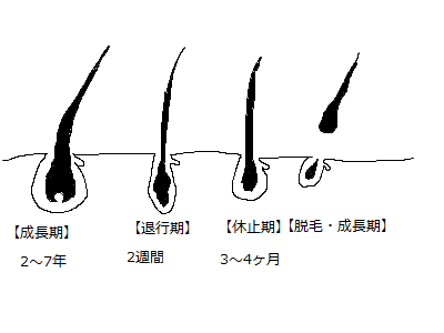 ヘアサイクル